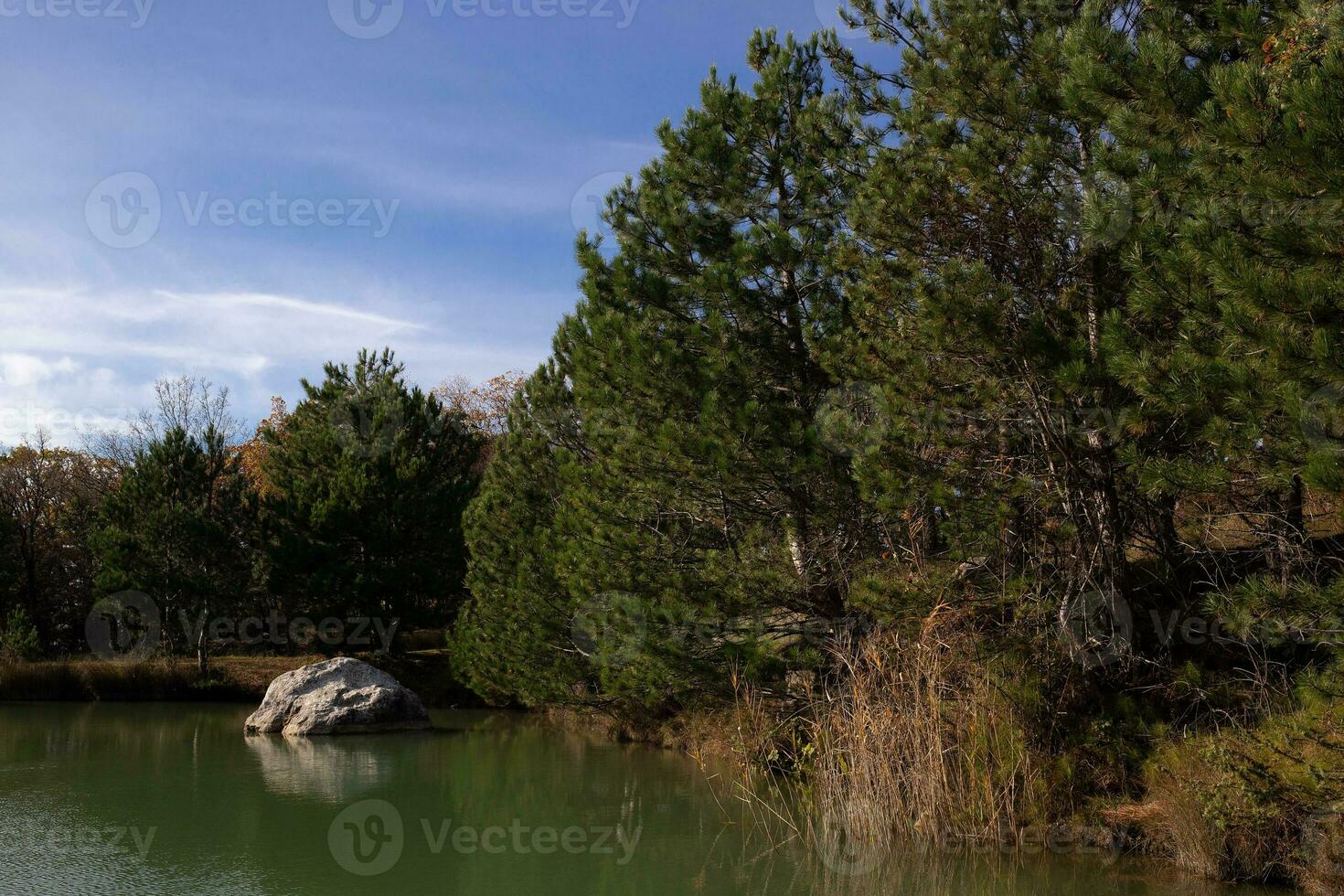 Visão do uma montanha lago cercado de arbustos e árvores dentro outono foto