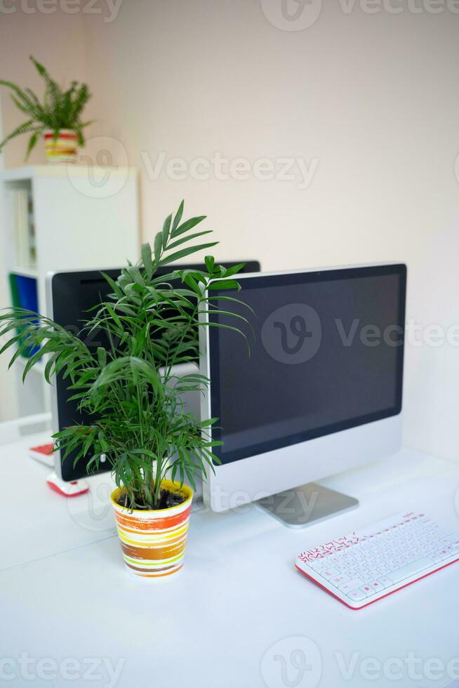 uma acolhedor local de trabalho dentro uma coworking espaço com uma computador e uma flor dentro uma Panela foto