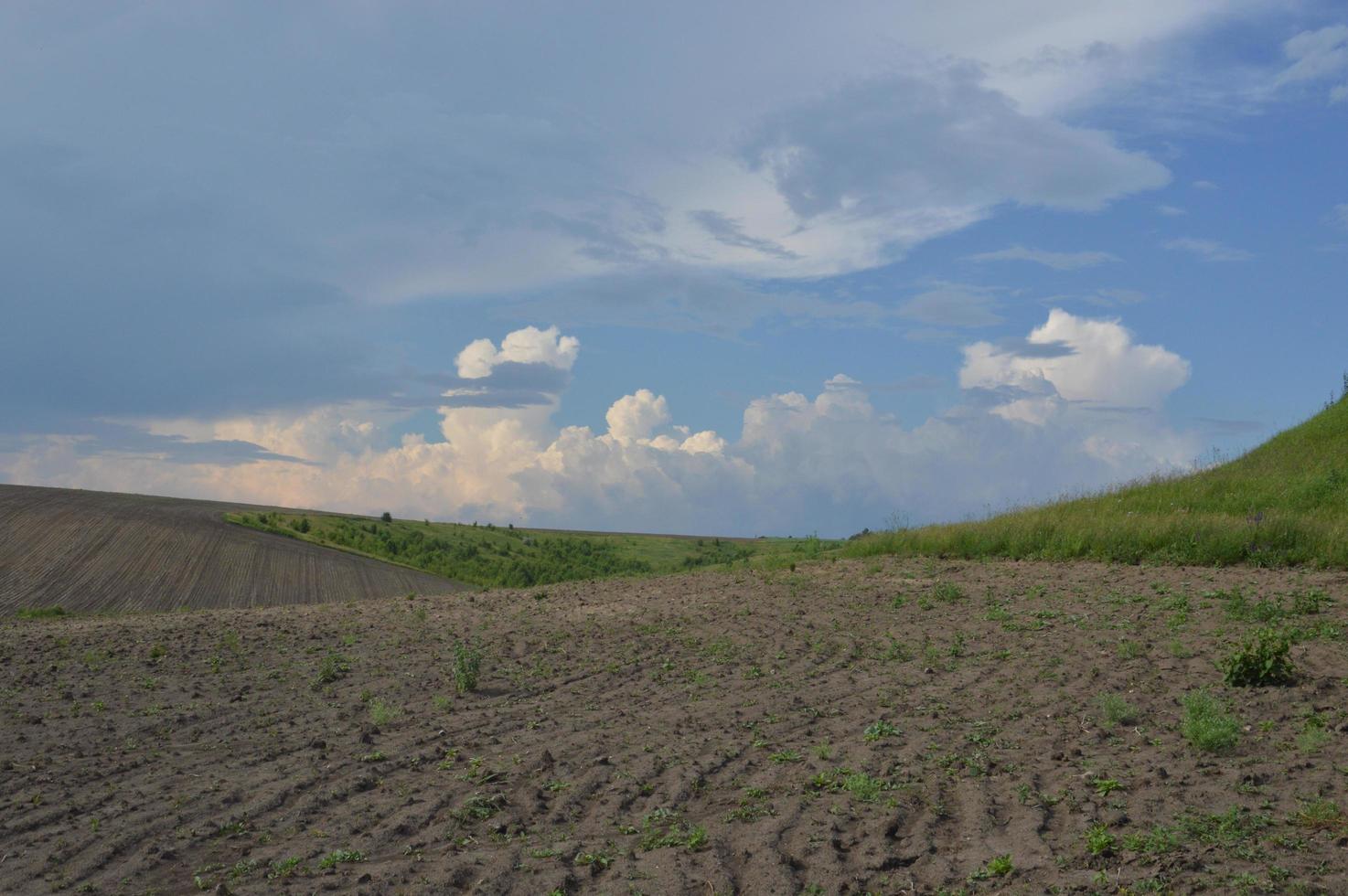 um campo arado nas colinas foto