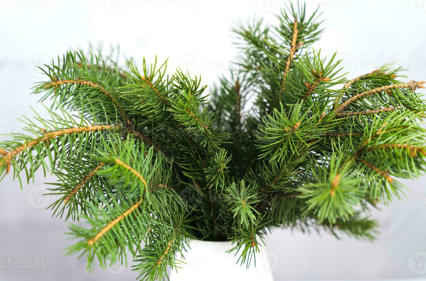 verde abeto galhos dentro uma branco vaso. Natal decoração e festivo humor. seletivo foco. fechar-se. foto