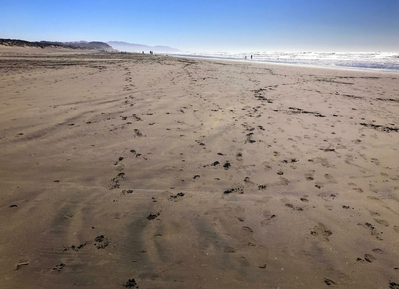 cachorro faixas em oceano praia, san francisco foto