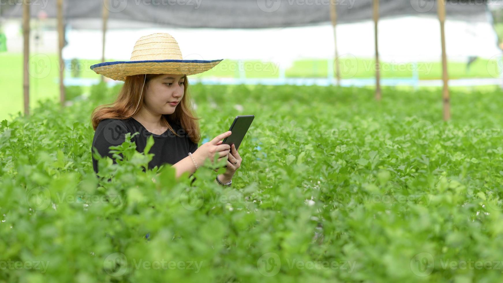 agricultor adolescente com tablet para cultivo moderno de vegetais em estufa, fazenda inteligente. foto