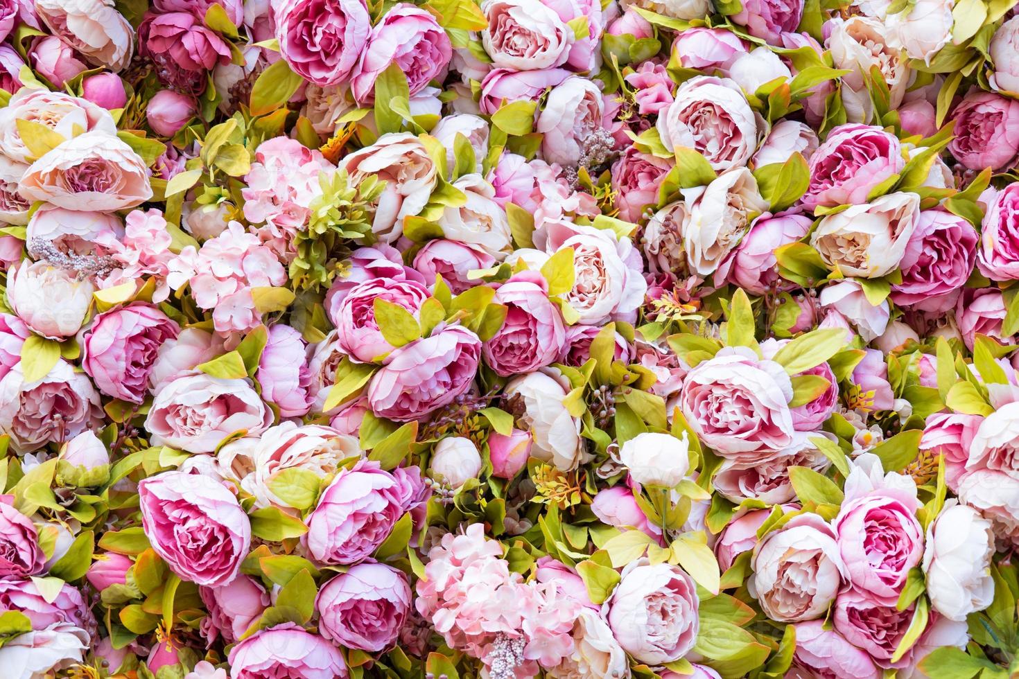 incrível decoração de parede de rosas cor de rosa e brancas, feita à mão, sochi. foto