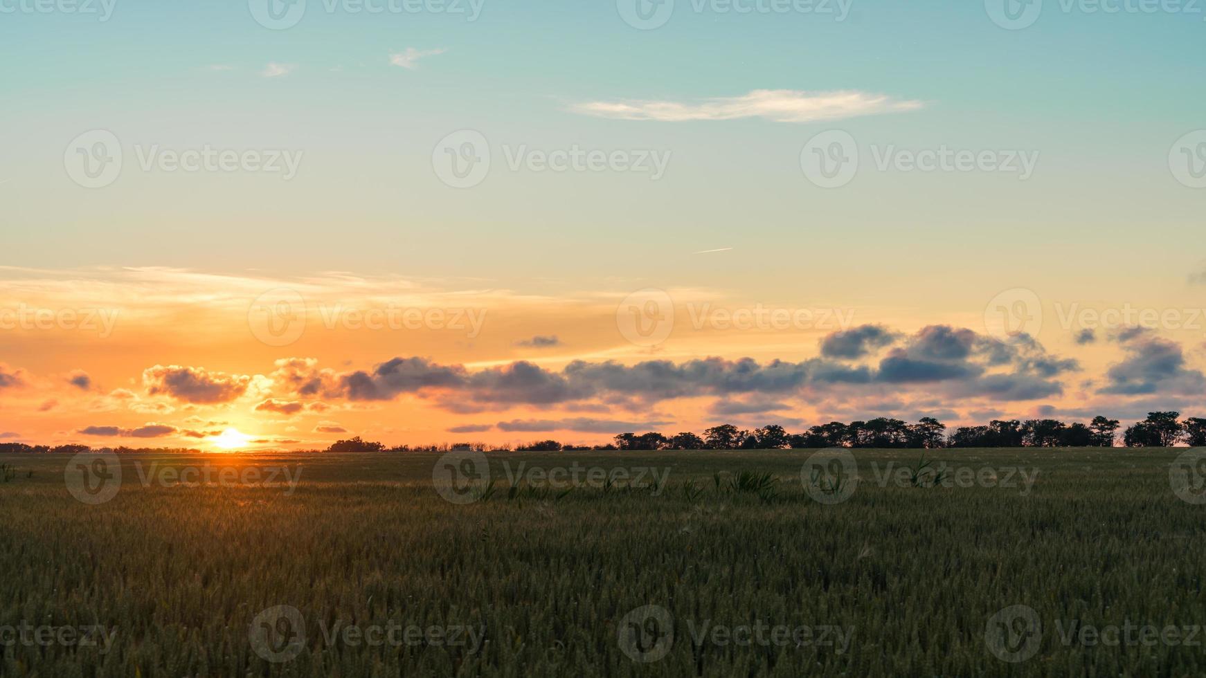 belo pôr do sol sobre o campo. blagoveshenskaya, rússia. foto