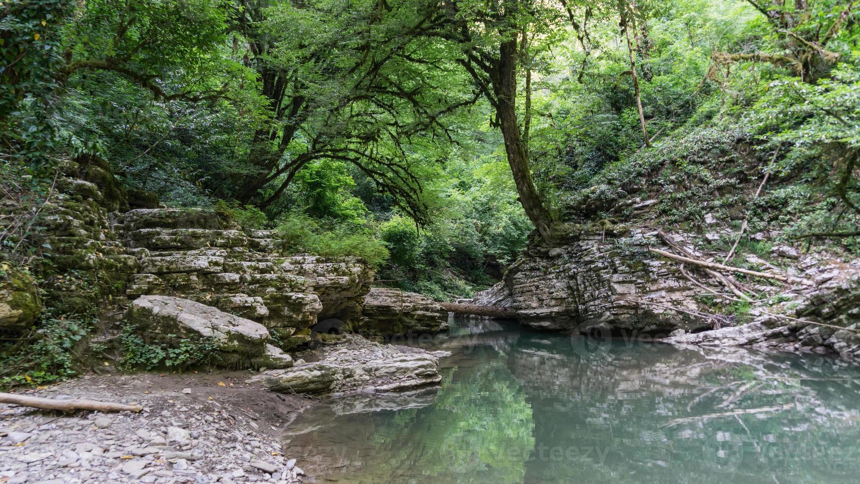 bela floresta e rio de montanha em psakho canyon, krasnodar krai, rússia. foto