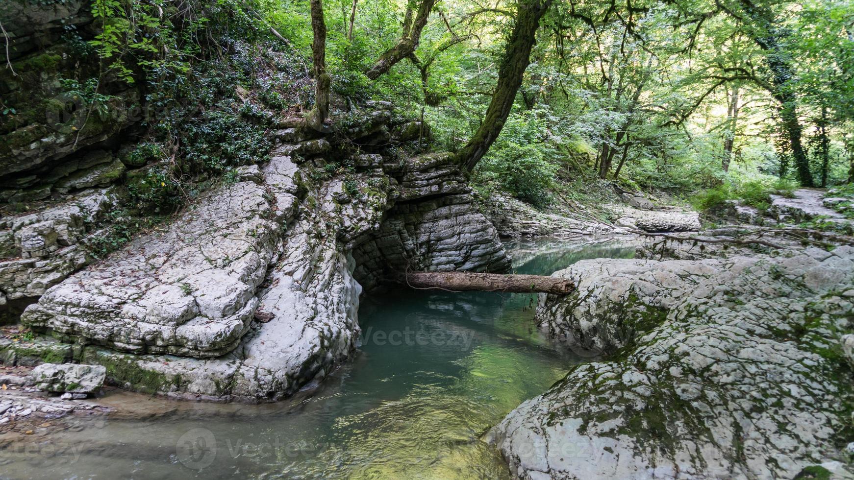 bela floresta e rio de montanha em psakho canyon, krasnodar krai, rússia. foto