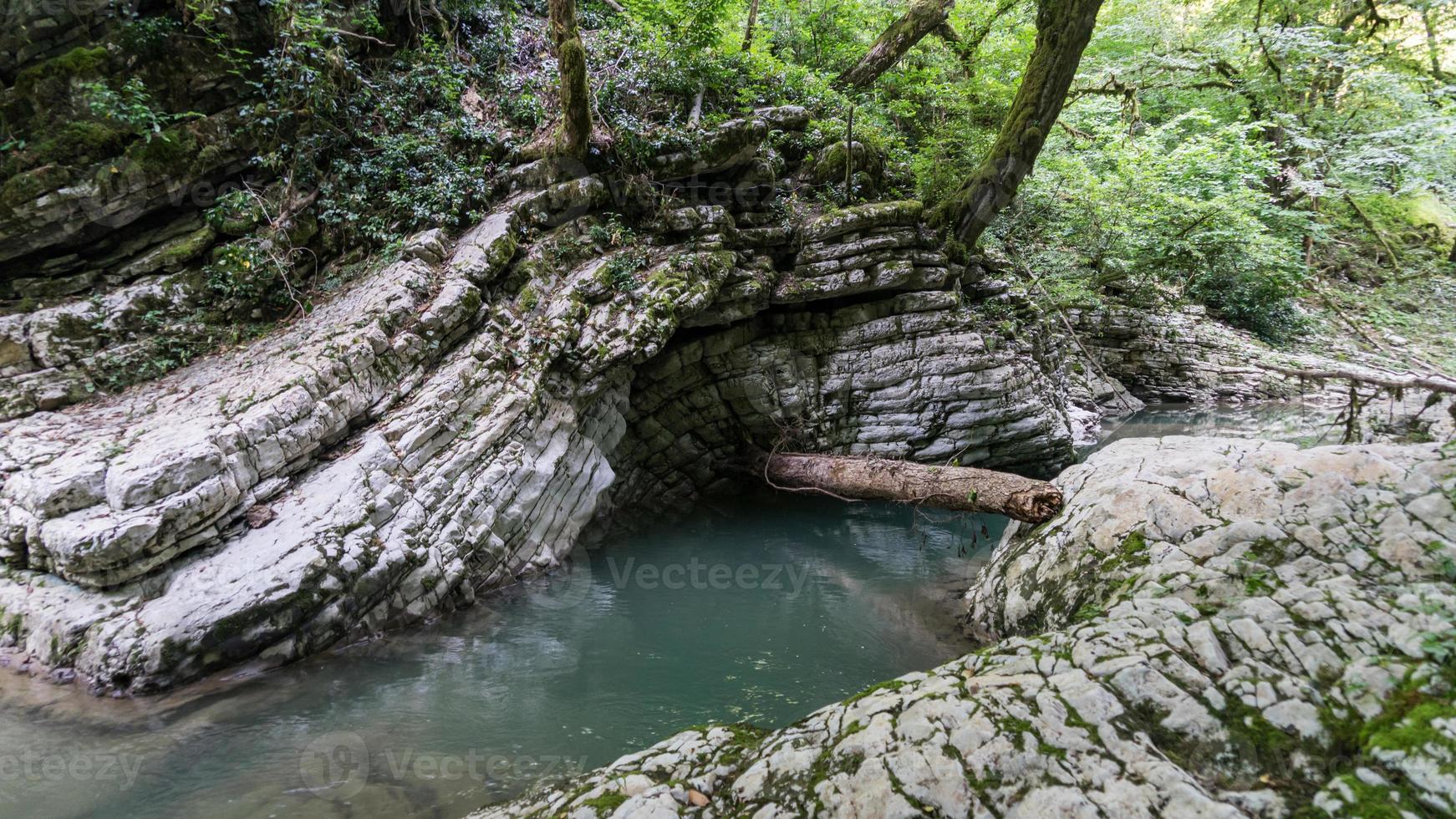 bela floresta e rio de montanha em psakho canyon, krasnodar krai, rússia. foto