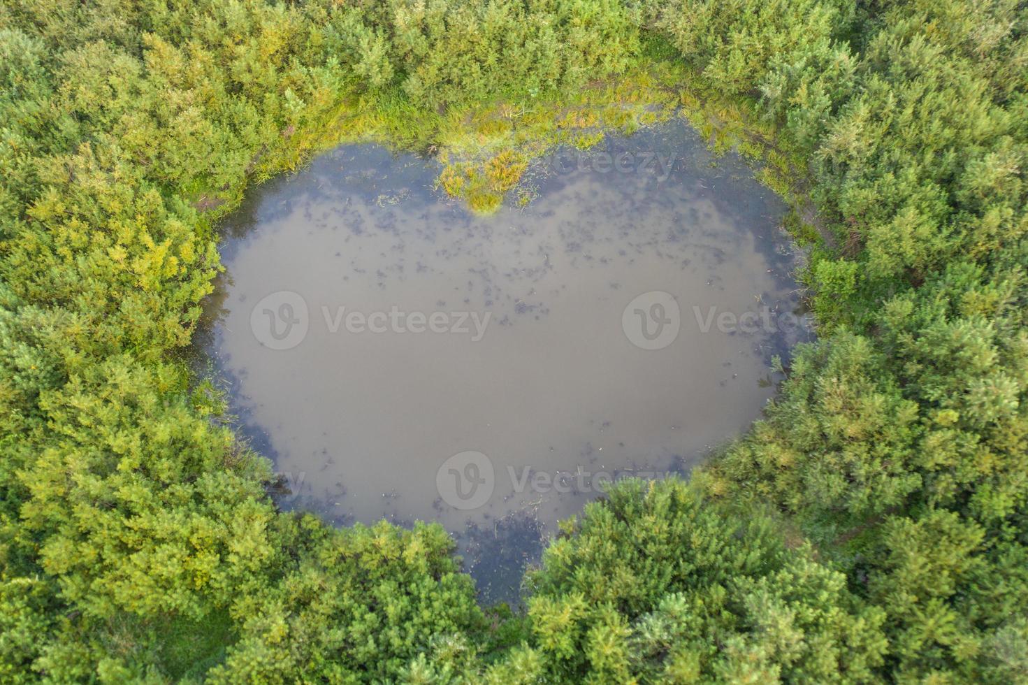 vista aérea do lago natural em forma de coração em tomsk, verão na sibéria, rússia. foto