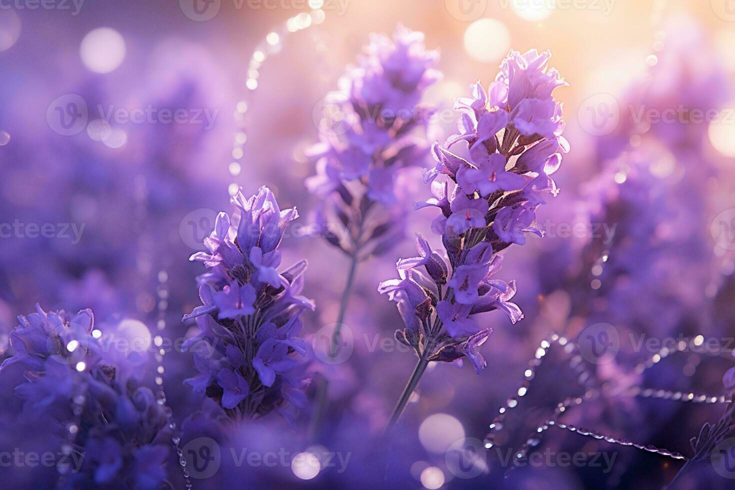 ai gerado lavanda flor florescendo Campos dentro sem fim linhas. pôr do sol tomada. foto