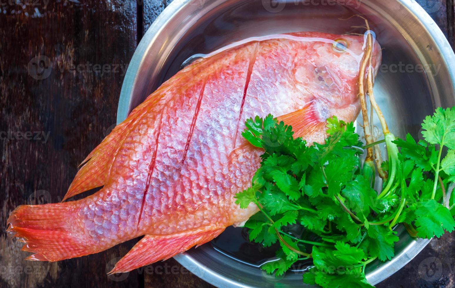 peixes frescos são congelados, prepare-se para cozinhar foto