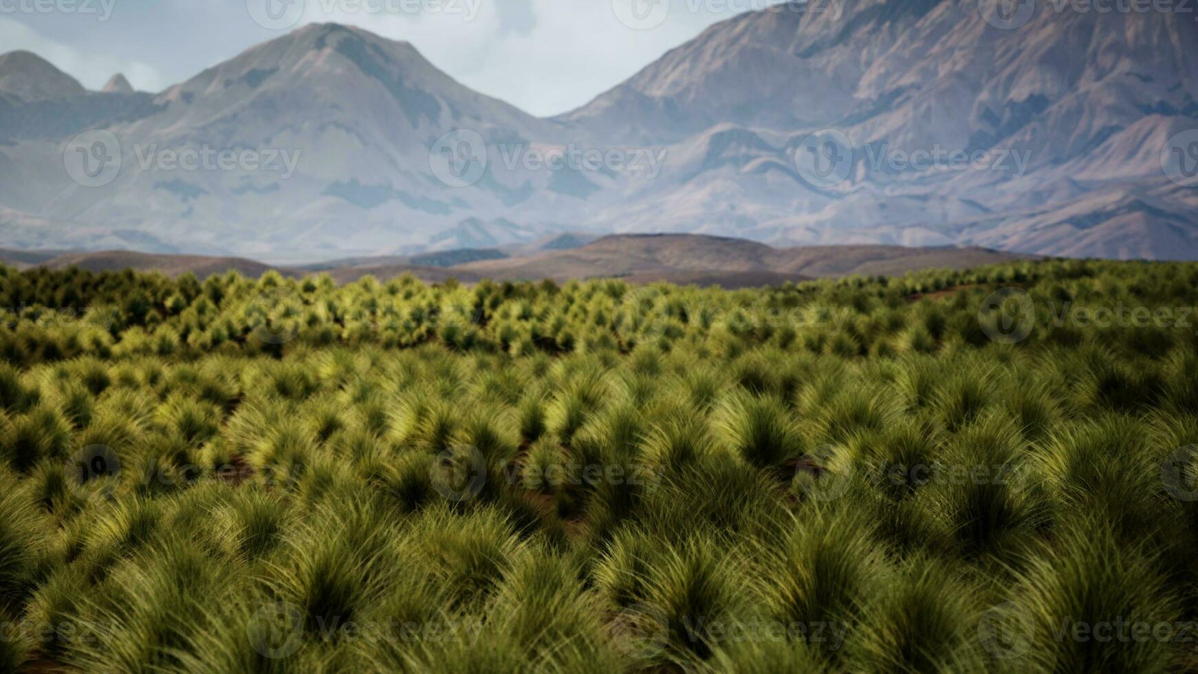 Parque Nacional Red Rock Canyon foto