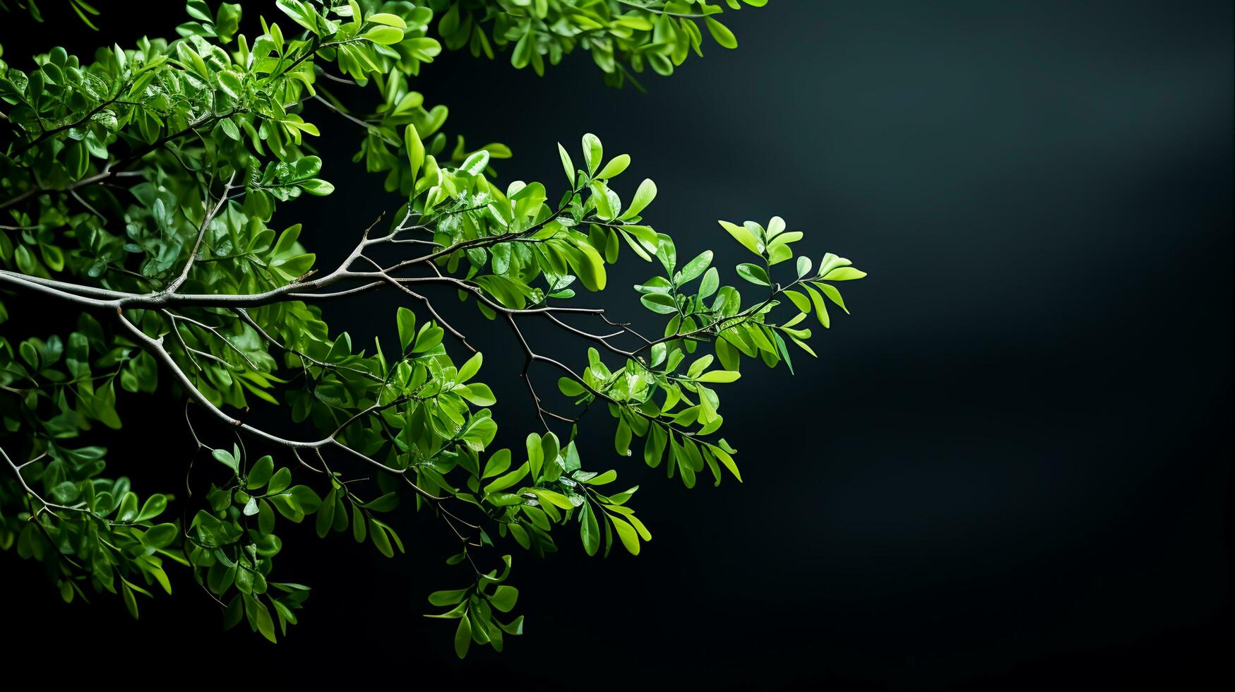 ai gerado vibrante vegetação fechar-se natural fundo do árvore folhas ideal para folhagem textura desenhos, ai gerado foto