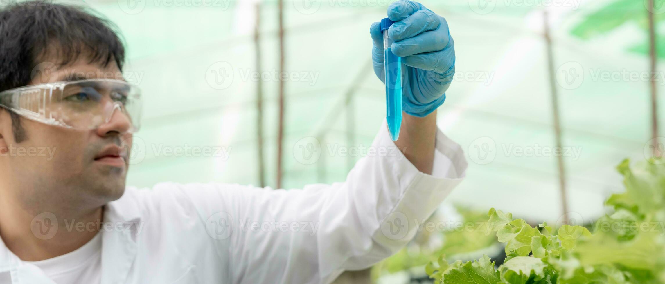 orgânico agricultura, salada Fazenda. Ciência agricultores estão verificação água condições durante plantio, verificação para pesticida resíduos. hidroponia vegetal, ecológico biológico, saudável, vegetariano, ecologia foto