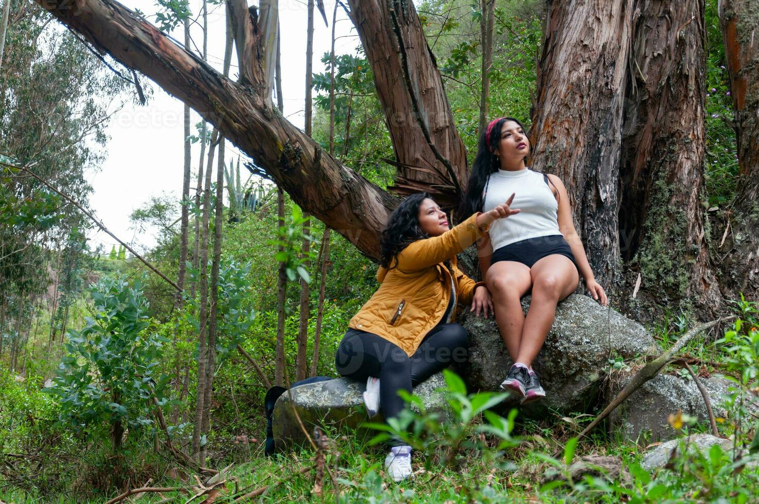 dois jovem mochileiros em repouso dentro a antigo árvore antes Segue a caminho e entrando uma floresta foto