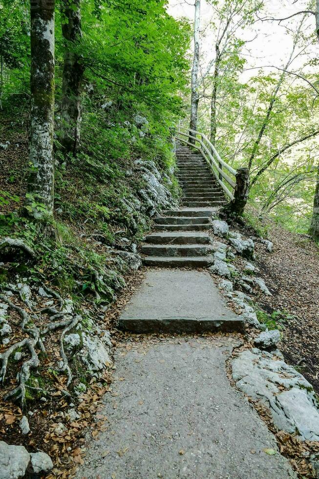 escadas conduzindo acima para uma floresta dentro a montanhas foto