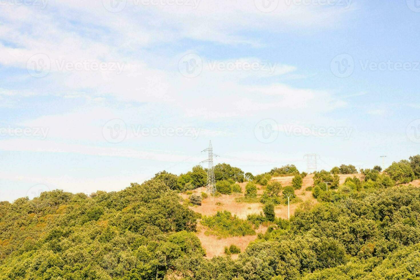 uma encosta com árvores e poder linhas foto