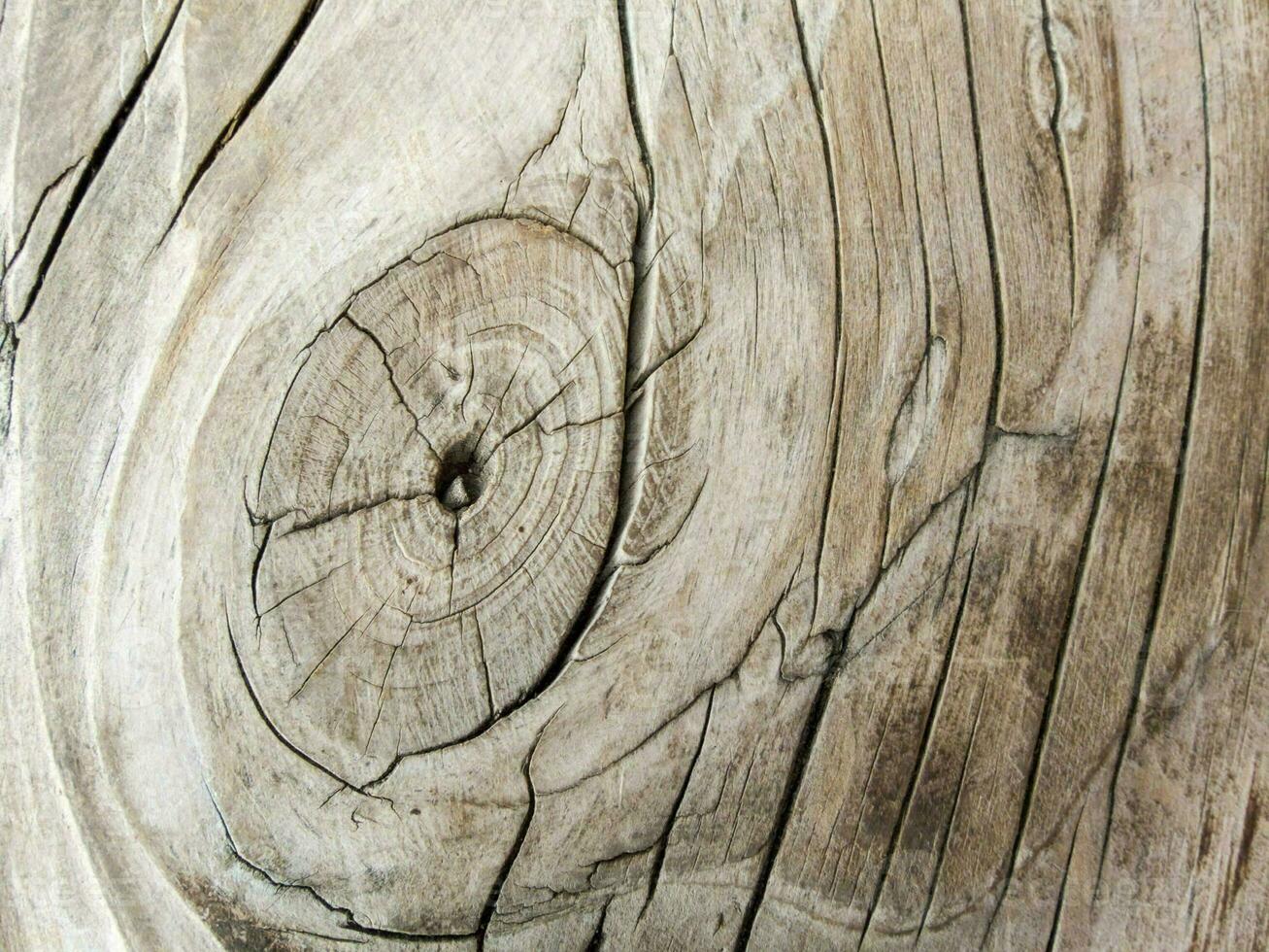 fechar acima do uma madeira textura com uma circular nó foto