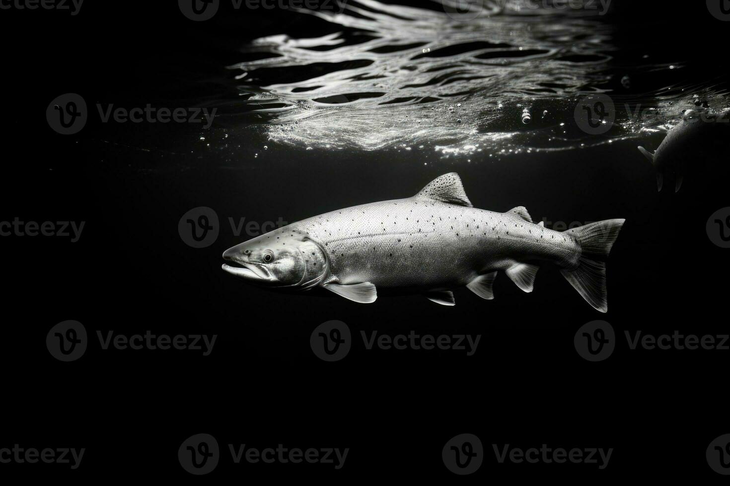 ai gerado água fresca oceano nadar animal água salmão mar vida embaixo da agua lago fauna rio peixe foto