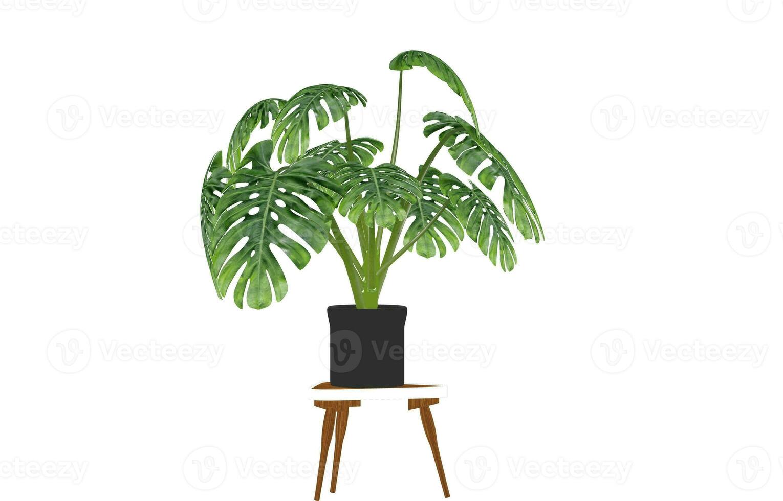 monstera folha, tropical botânico plantar dentro à moda decorativo Projeto isolado em esvaziar fundo foto