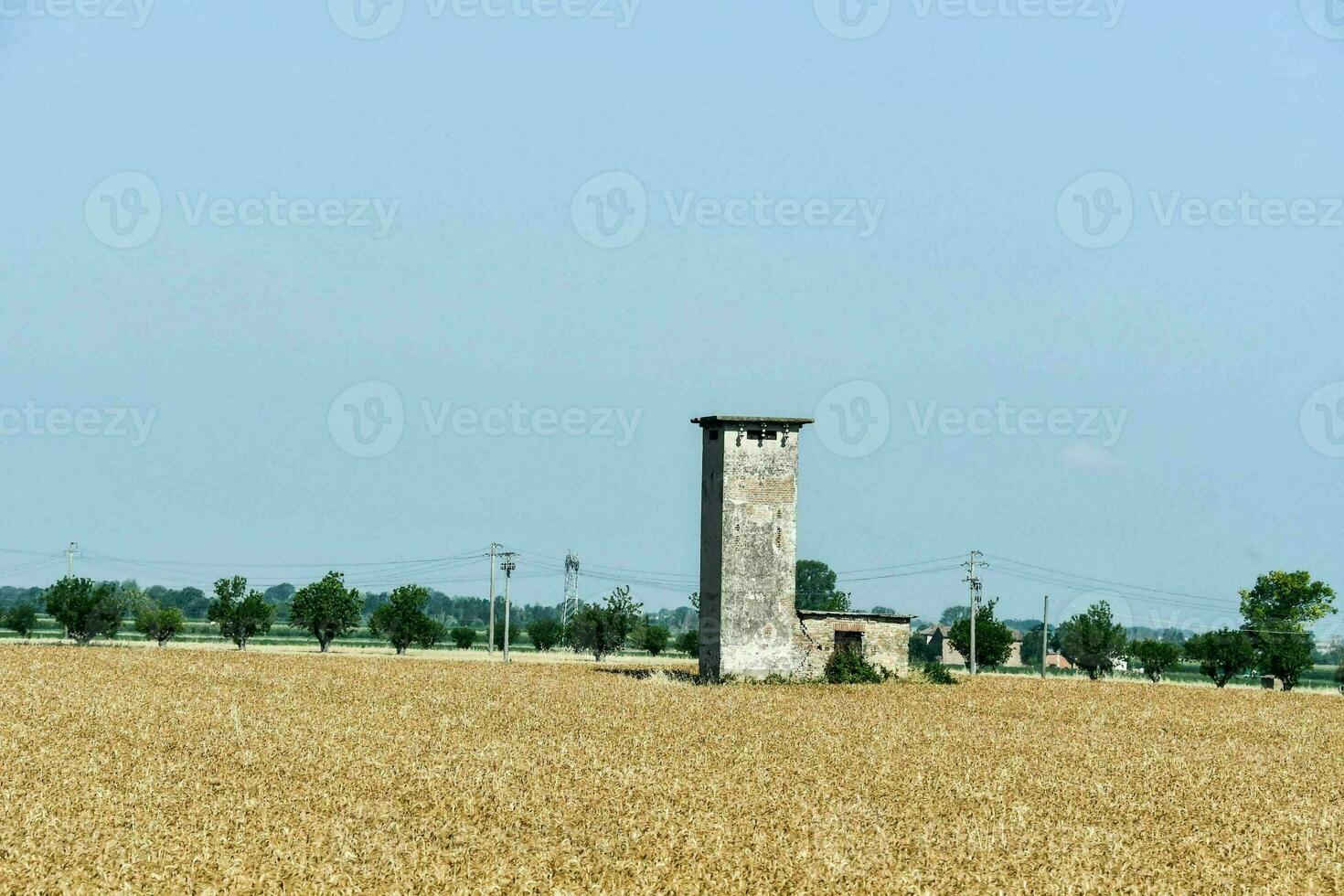 uma torre dentro uma campo do trigo foto