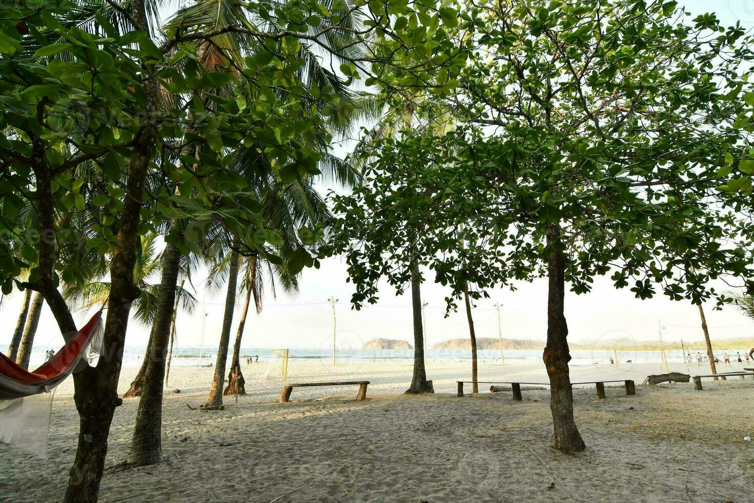 uma de praia com árvores e redes foto