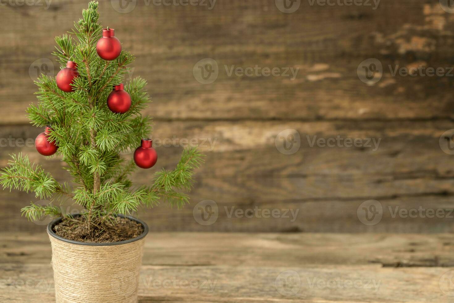 decorado em vaso Natal árvore em a de madeira fundo foto