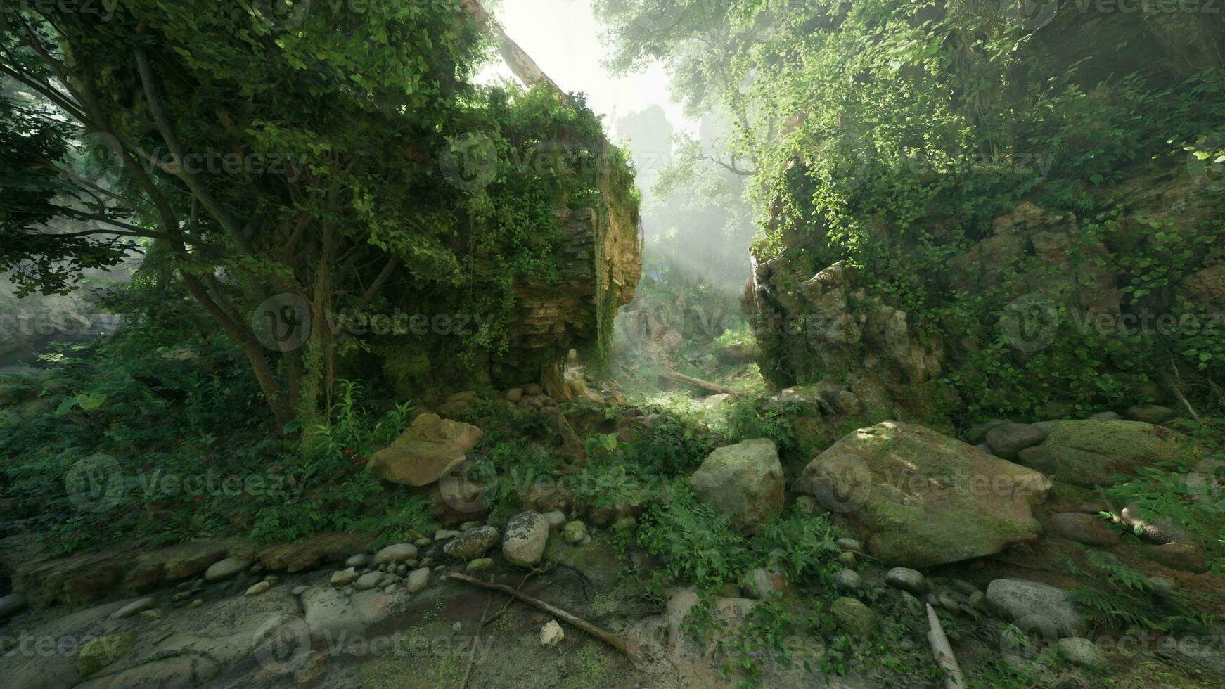 uma sereno floresta panorama com alta árvores e espalhados pedras foto