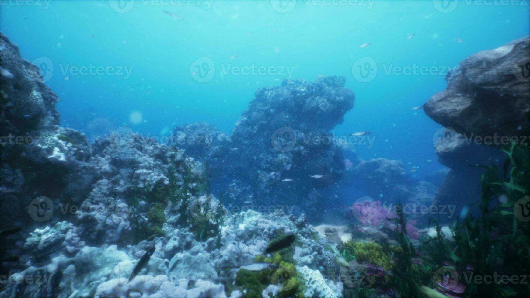 embaixo da agua coral recife panorama dentro a profundo azul oceano com colorida peixe foto