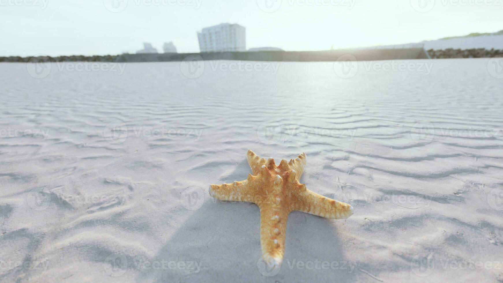 estrelas do mar em a sidade de praia foto