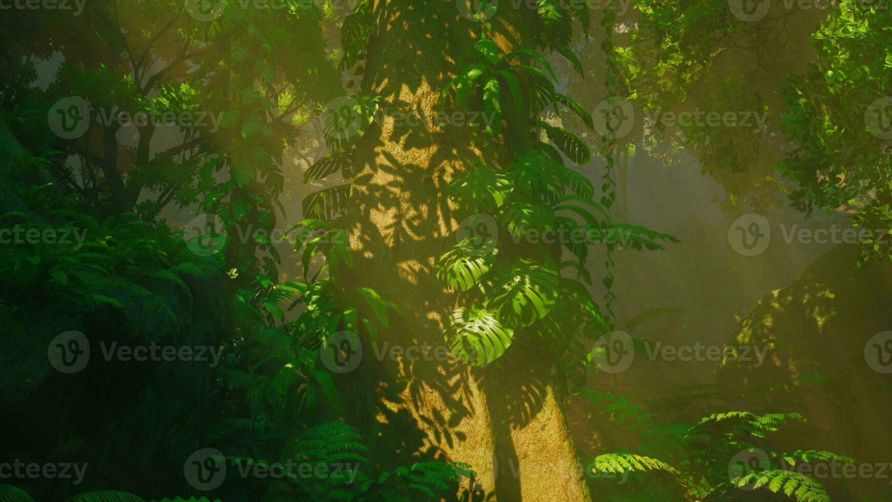névoa da manhã na densa floresta tropical foto
