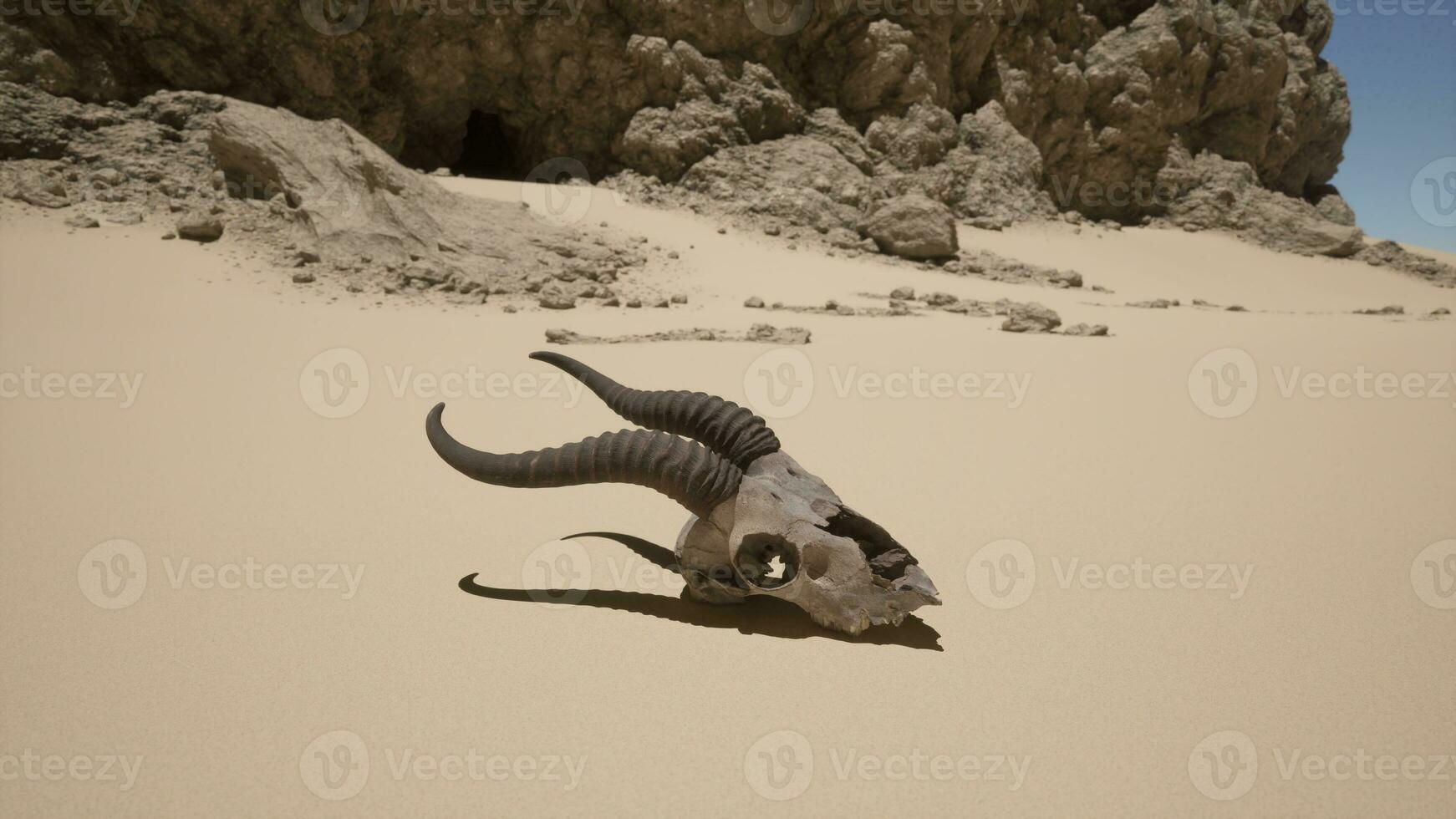 a animal crânio deitado em uma arenoso de praia foto