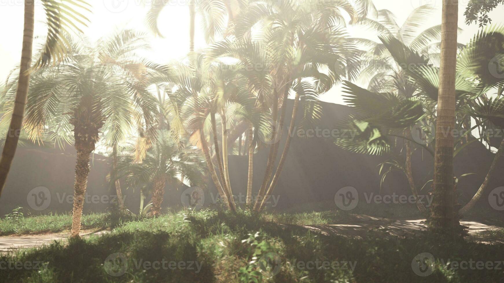 uma grupo do Palma árvores em uma ensolarado dia foto