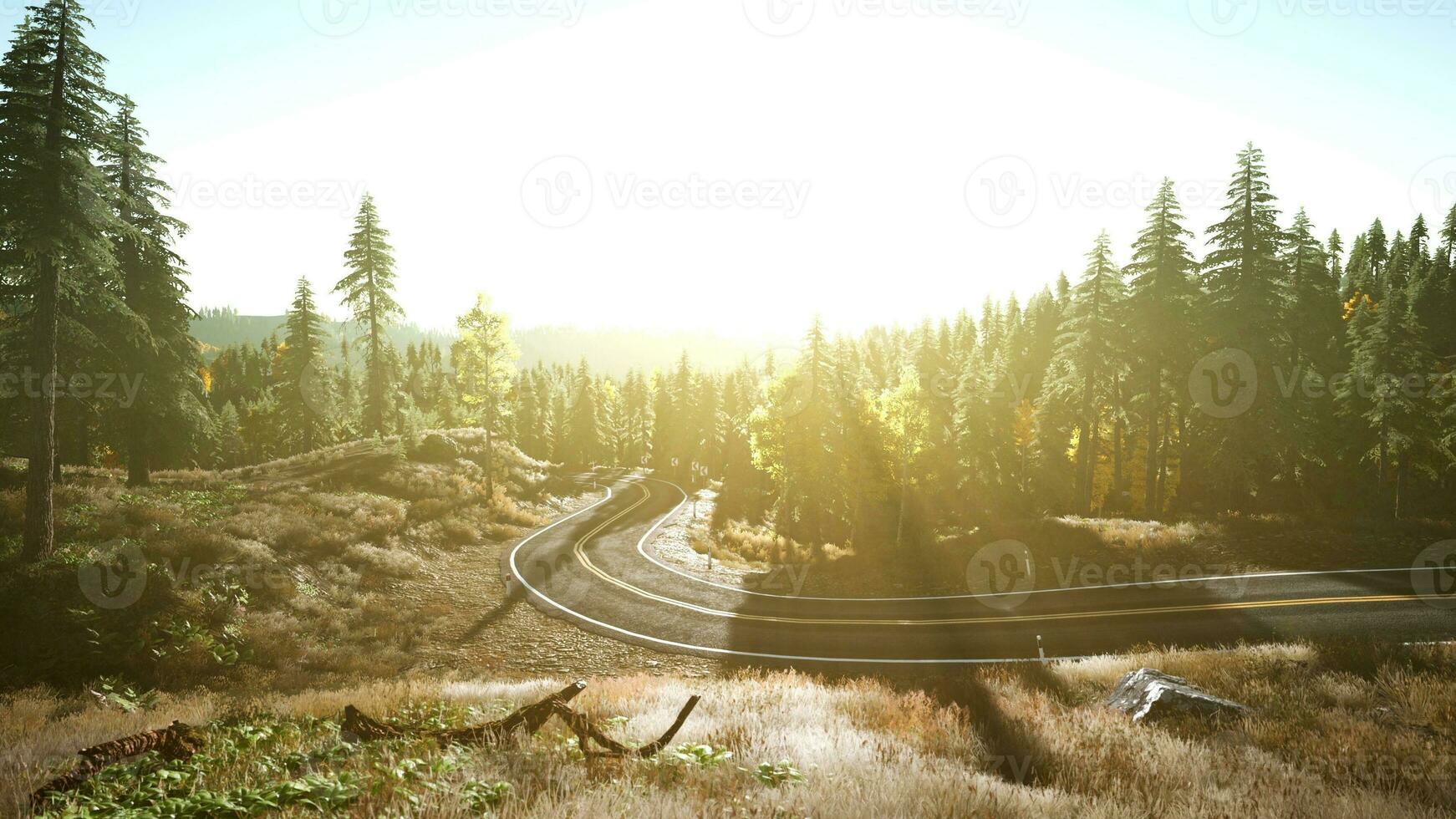 uma sereno e cênico estrada enrolamento através uma pitoresco floresta às pôr do sol foto