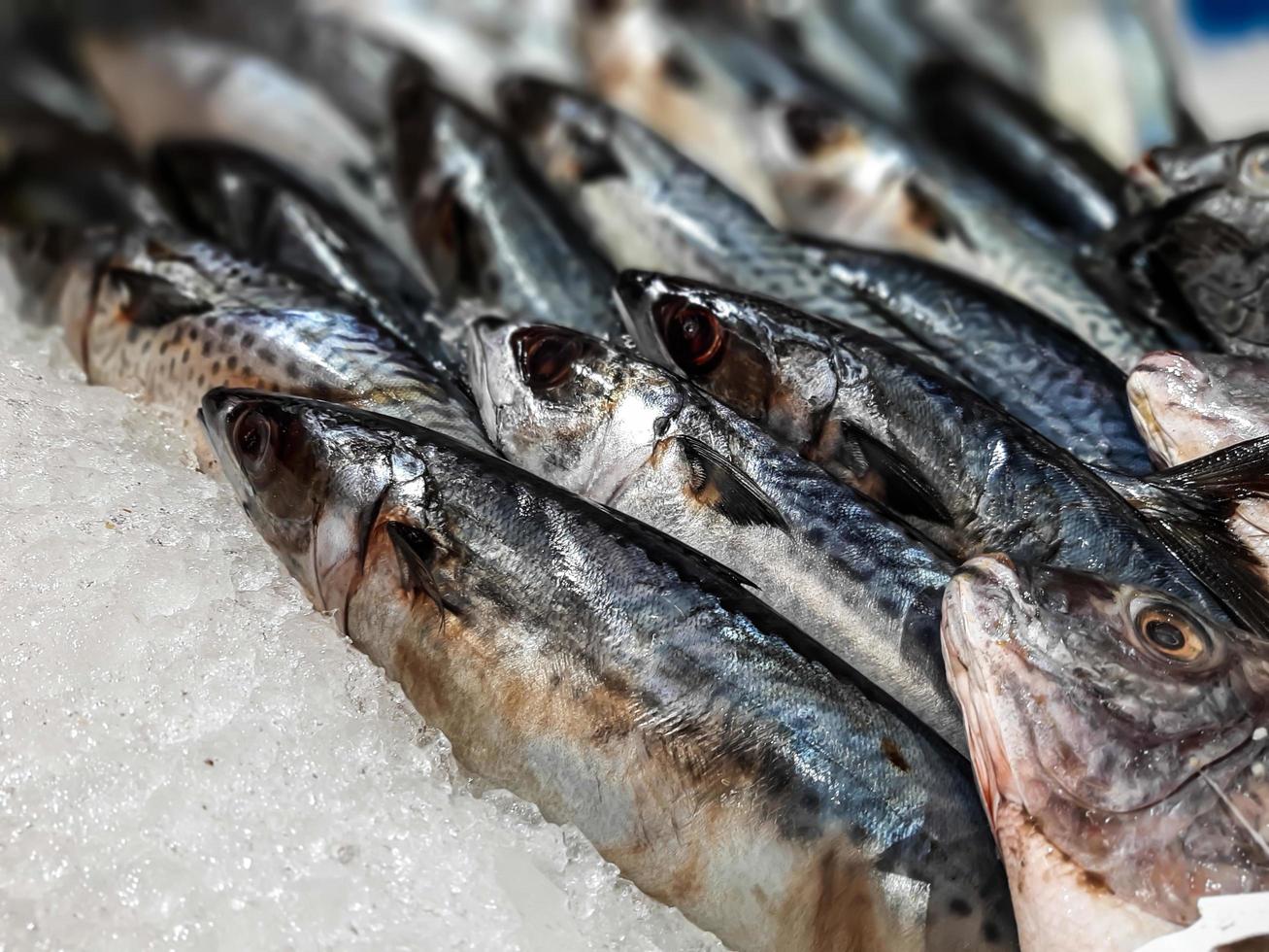 feche o peixe fresco cru esfriando no gelo em uma barraca do mercado de frutos do mar foto