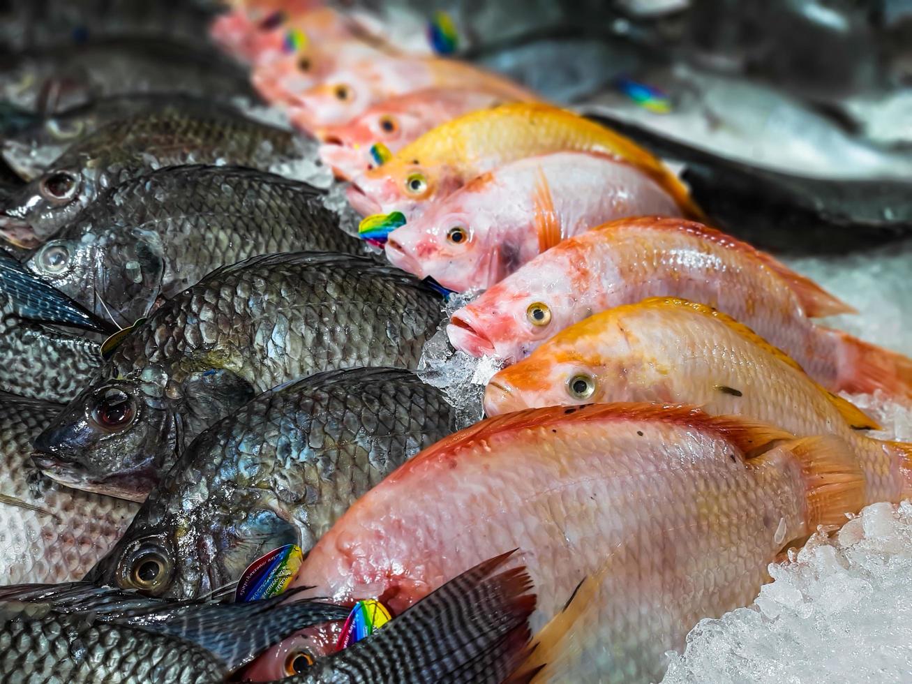 feche o peixe fresco cru esfriando no gelo em uma barraca do mercado de frutos do mar foto