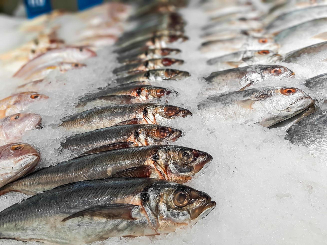 feche o peixe fresco cru esfriando no gelo em uma barraca do mercado de frutos do mar foto