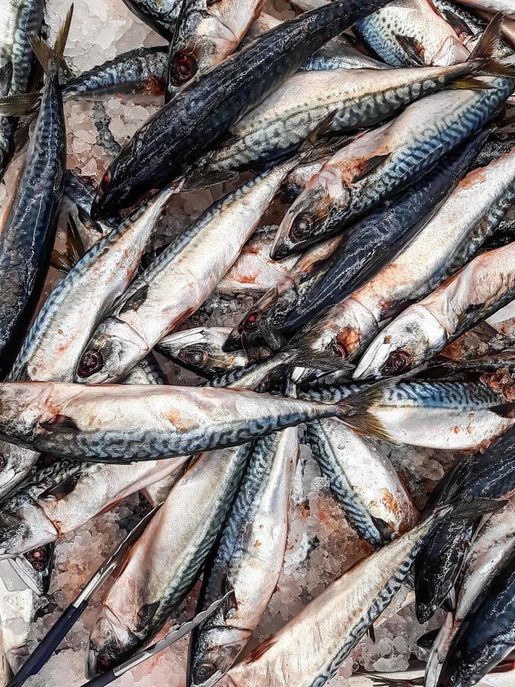 fundo de peixe fresco no gelo em barraca de mercado de frutos do mar foto