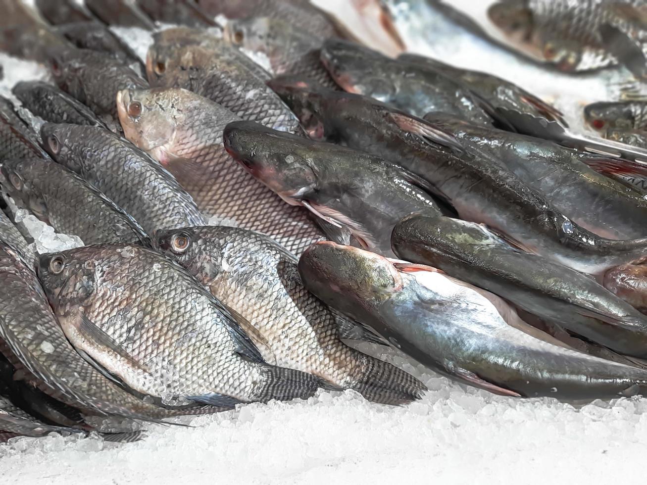 feche o peixe fresco cru esfriando no gelo em uma barraca do mercado de frutos do mar foto