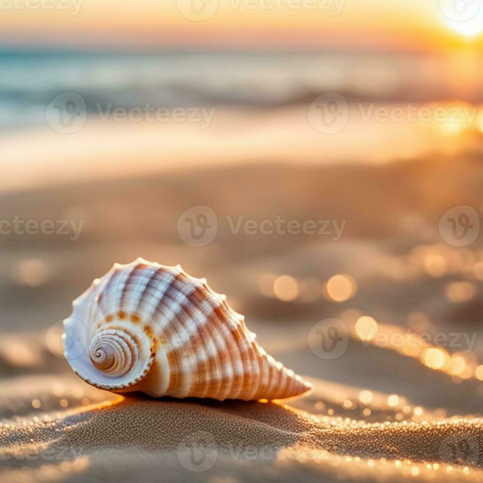 ai gerado fechar-se do conchas do mar em a de praia às pôr do sol. foto