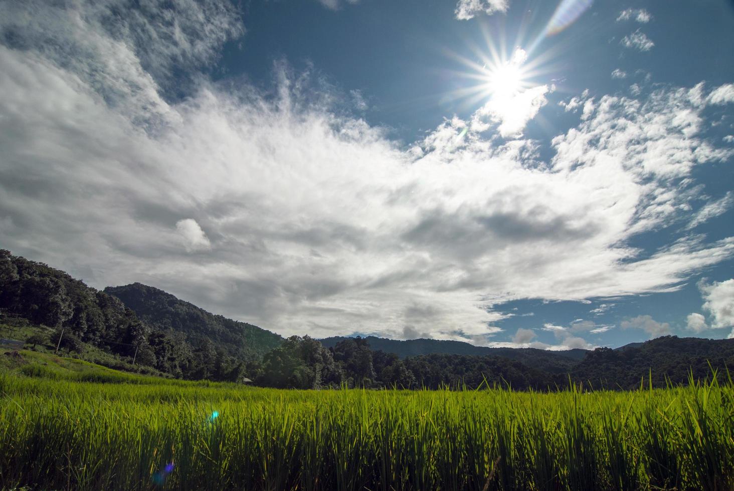 terraço campos de arroz no distrito de mae chaem chiang mai, tailândia foto