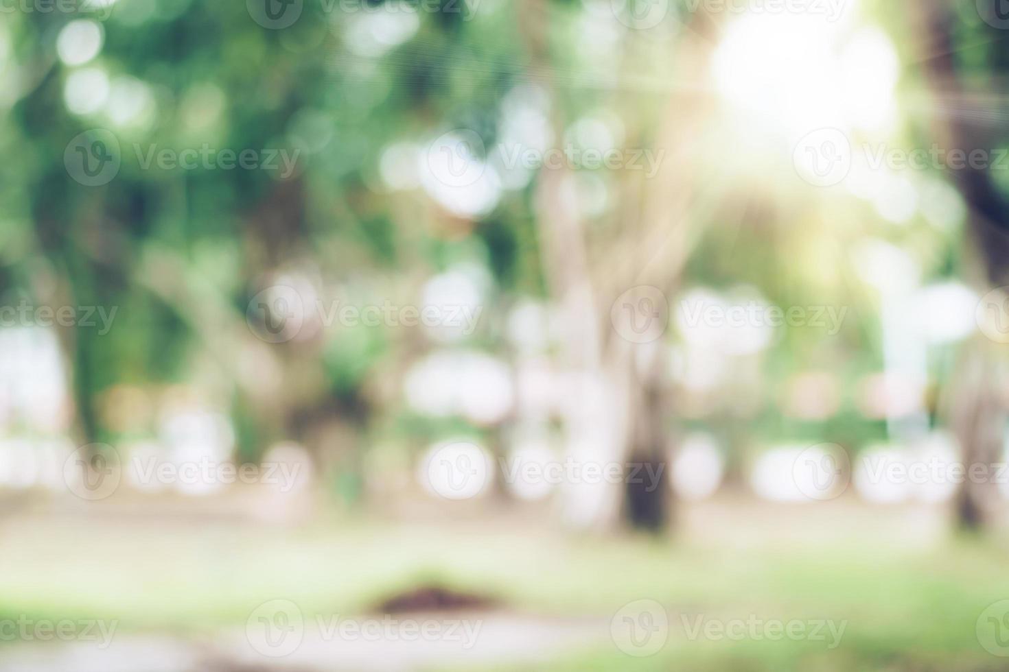 parque público de bokeh natureza turva em tons verdes com várias árvores. foto