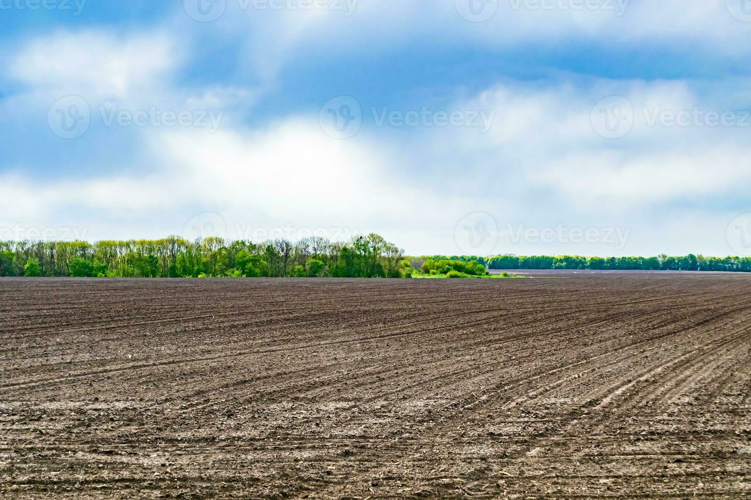 fotografia sobre o tema grande campo de fazenda vazio para colheita orgânica foto