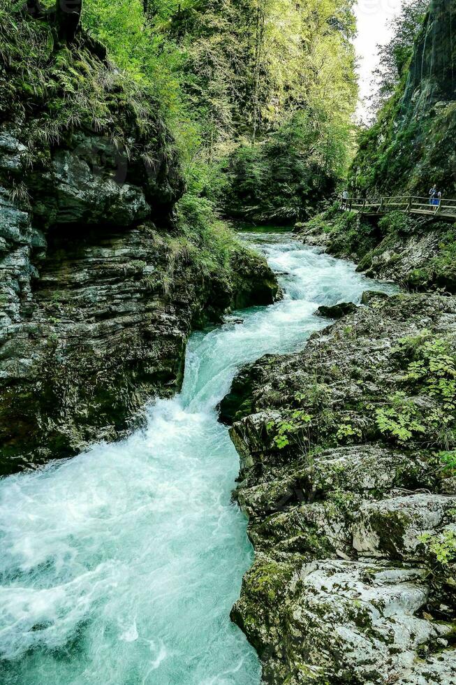 uma rio corre através uma desfiladeiro dentro a montanhas foto