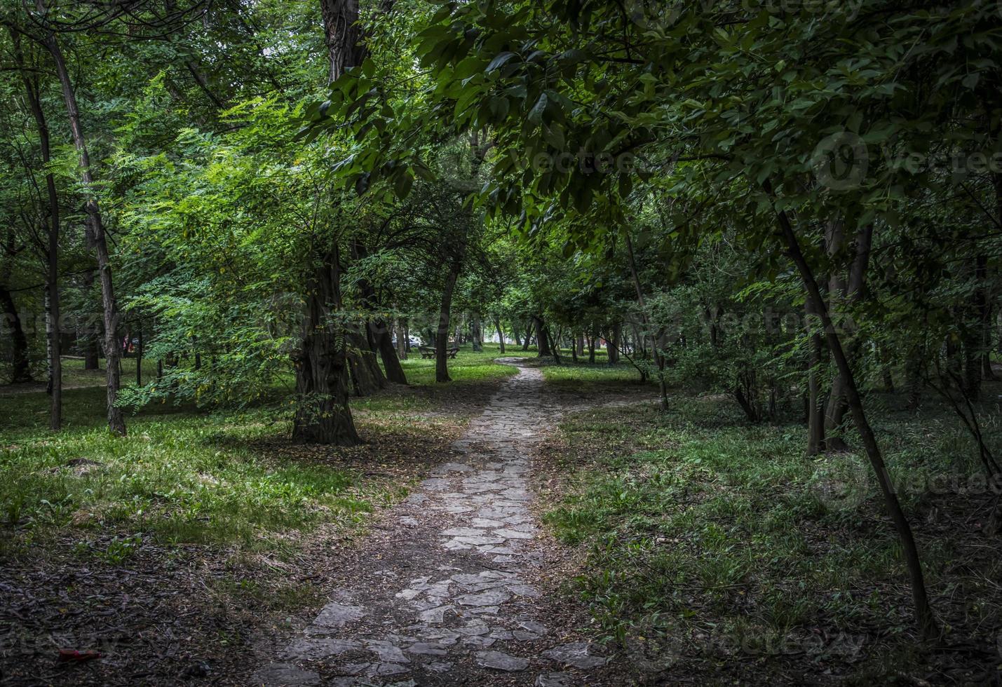 uma trilha nas sombras do parque de sumice em belgrado foto