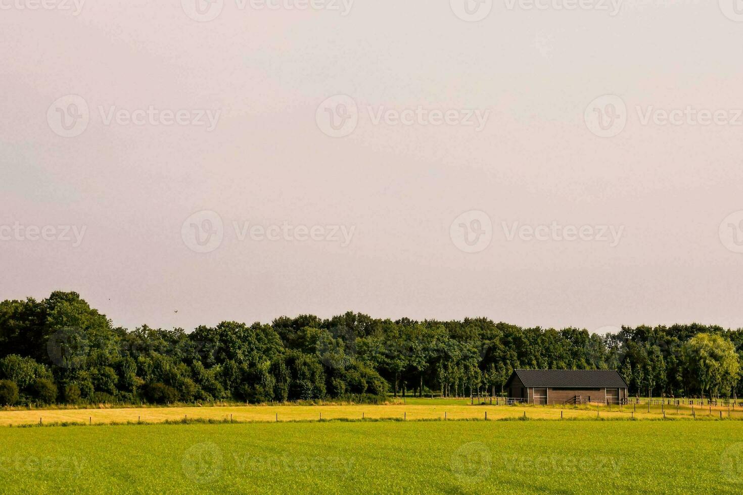 uma Fazenda dentro a meio do uma campo foto