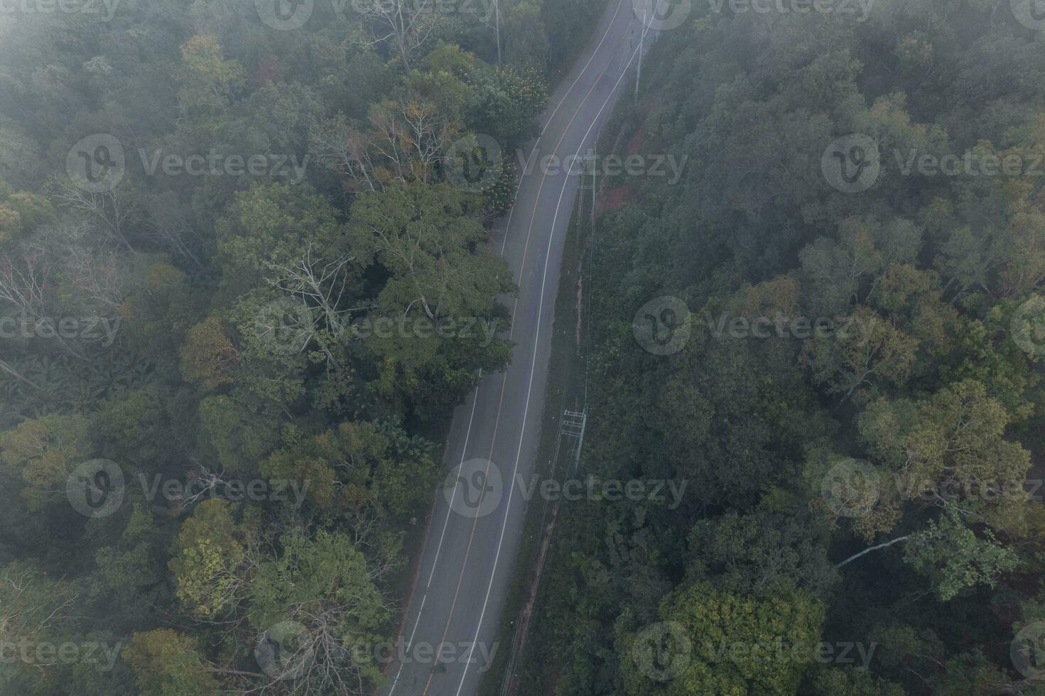 aéreo Visão do floresta estrada foto