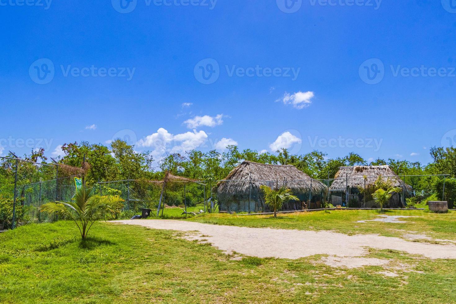 caminho de entrada da praia tropical entre cabanas naturais no México. foto