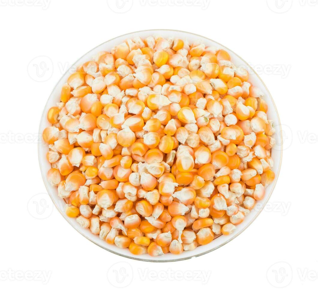 saudável seco milho sementes em branco fundo foto