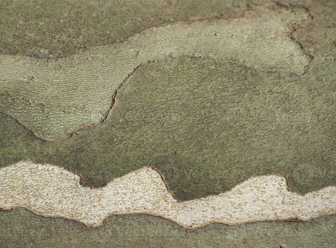 padrão de camuflagem em fundo de casca de árvore plana foto