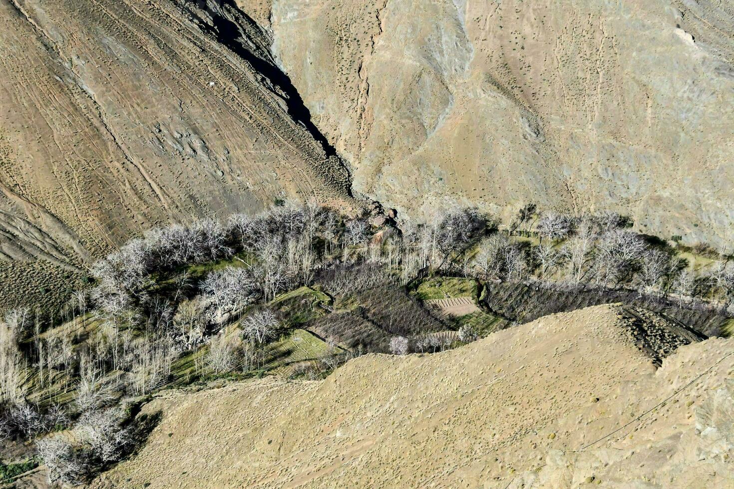 a aéreo Visão do uma vale com uma casa dentro a meio foto